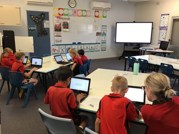 Stage 2 students utilising their laptops.