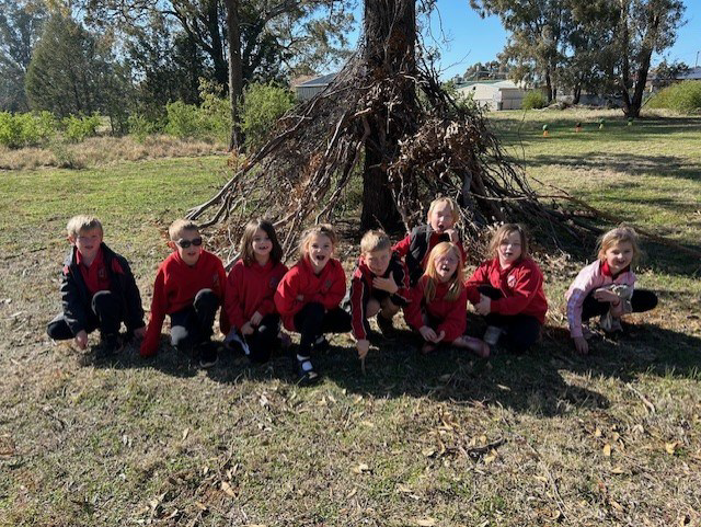 Stage 1 students outside under a tree at NAIDOC day.