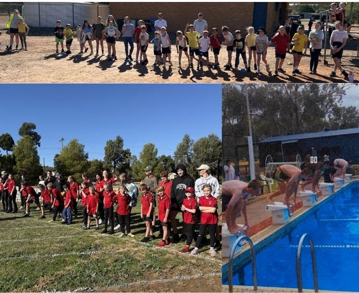 Multiple students at the swimming, cross country and athletics carnival.
